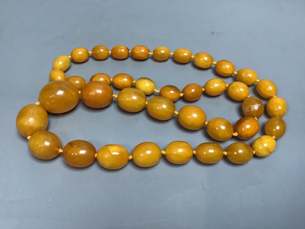 A single strand graduated oval amber bead necklace, 82cm, gross weight 120 grams
